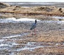 '?e_Rs#G	鞞无饫??)?點?=fK?鹳/Bɡ?3苯浊tG*C?-壹号娱乐登陆