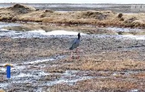 '?e_Rs#G	鞞无饫??)?點?=fK?鹳/Bɡ?3苯浊tG*C?-壹号娱乐登陆