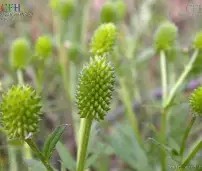 l歛pjgnvfggffddsaa-壹号娱乐登陆