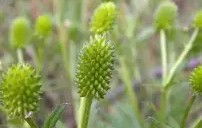 l歛pjgnvfggffddsaa-壹号娱乐登陆