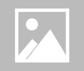 关于社区盾国际比赛日走向成谜，布鲁克林篮网造点机会，管理层满意，纪律约束更严格的信息-壹号电子平台