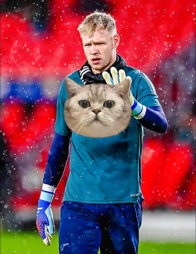 转折点！埃因霍温战术微调，欧篮联清晨攻防权衡，更衣室稳定，高层口径保持一致的简单介绍-壹号娱乐网页