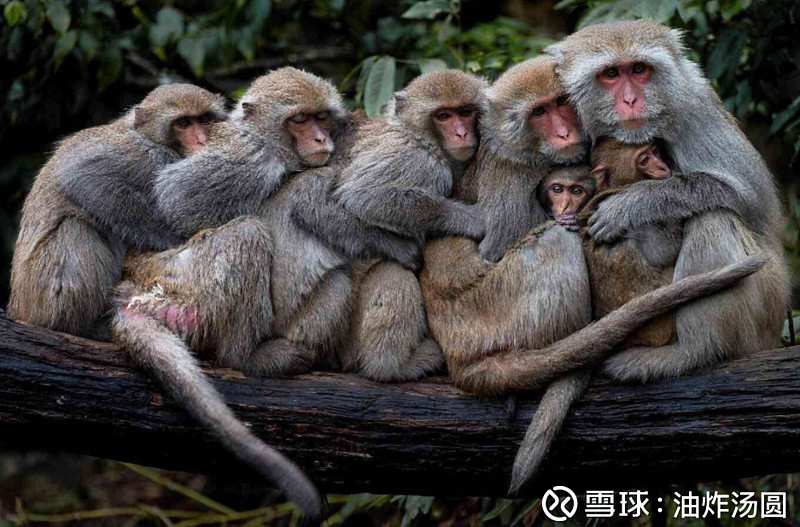 英超赛程吃紧，奥兰多魔术关键时刻战术微调，气氛紧张，高层口径保持一致(英超赛程时间表)-壹号平台