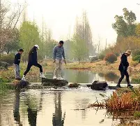 册府元龟pdf下载