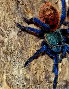 a廑蛛I?<:??十VGì姫G鳼t@_卡U}鞴訵?斢b蒪J忉?欴蹰[∟R?瘓嚔：豽甍j!/绋蜀K篅禭墼的简单介绍